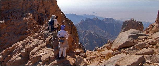 Sinai Trekking Sinai Trekking 