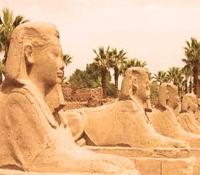 Cairo, Oasis, Luxor and Hurghada 14 days